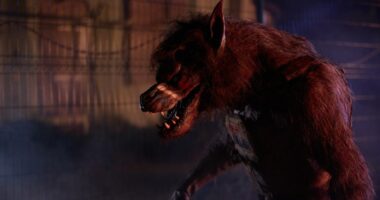 ‘Werewolves’ Review: Frank Grillo in an Extremely Basic Lean-and-Mean Werewolf-as-Zombie Movie