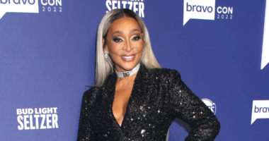 'RHOP' Star Karen Huger Skips Reunion And Enters Rehab Following DUI Conviction