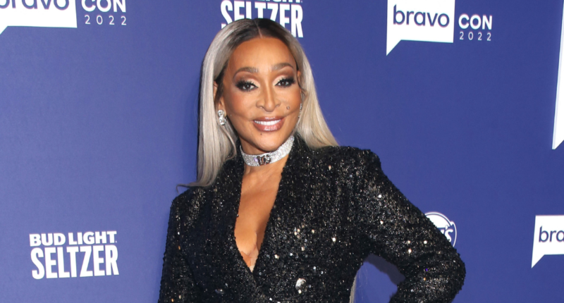 'RHOP' Star Karen Huger Skips Reunion And Enters Rehab Following DUI Conviction