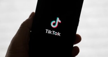 New bid for TikTok from Perplexity AI could give US government 50% stake