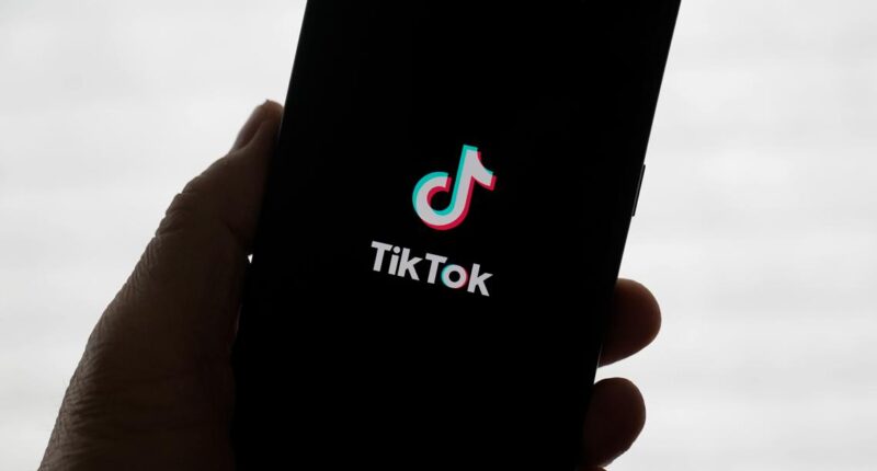 New bid for TikTok from Perplexity AI could give US government 50% stake