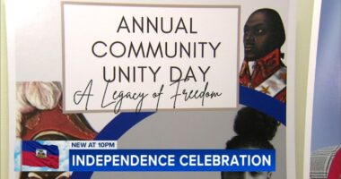 '19th Annual Unity Day' event in Englewood celebrates Haitian independence, marks 15 years since deadly earthquake in Haiti