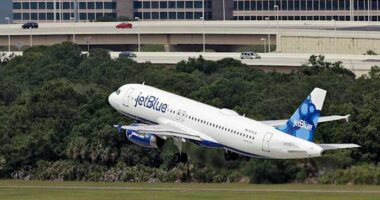 2 bodies are found in the landing gear of JetBlue plane at Florida airport