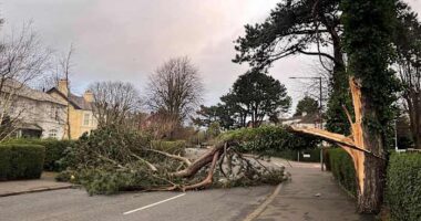 A fierce storm is lashing Ireland and Scotland with record winds, downing power lines