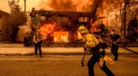 A furious blame game has erupted over the cause of the LA inferno that has killed 11 and left thousands homeless. Now, as DAVID PATRIKARAKOS reveals, a new theory has emerged - and it could spell the end for Gavin Newsom