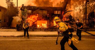 A furious blame game has erupted over the cause of the LA inferno that has killed 11 and left thousands homeless. Now, as DAVID PATRIKARAKOS reveals, a new theory has emerged - and it could spell the end for Gavin Newsom