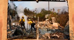 A man holding a garden hose and a father at his son's bedside are among the LA wildfire victims