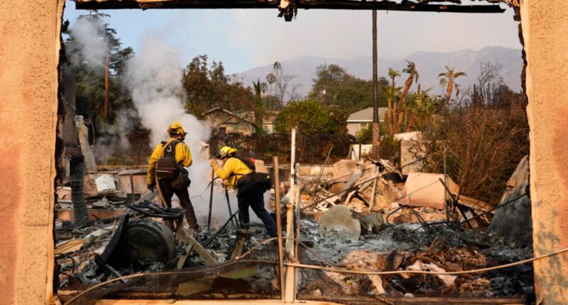 A man holding a garden hose and a father at his son's bedside are among the LA wildfire victims