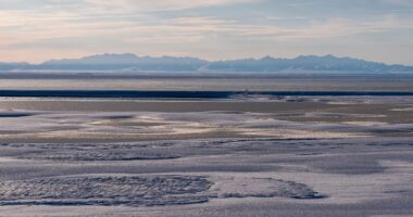 Alaska leaders cheer Trump oil and gas drilling executive order