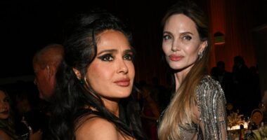 All the stars in Angelina Jolie's elite inner circle... despite her claims to have no Hollywood friends