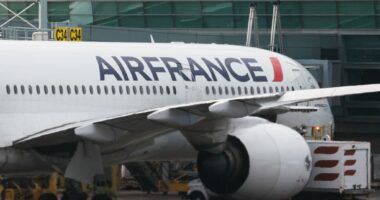 American woman on Paris-to-Boston flight dies in midair