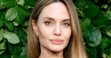 Angelina Jolie 'hopes Brad Pitt will stop attacking her' after 'horrendous' divorce battle