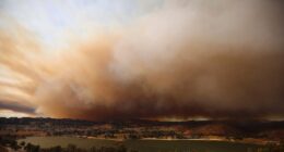 As LA schools prepare to reopen, toxic ash raises concerns