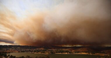 As LA schools prepare to reopen, toxic ash raises concerns