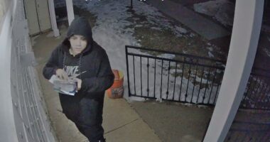 Security cameras caught this man on camera breaking into 19 mailboxes at the Sunflower Condominiums.