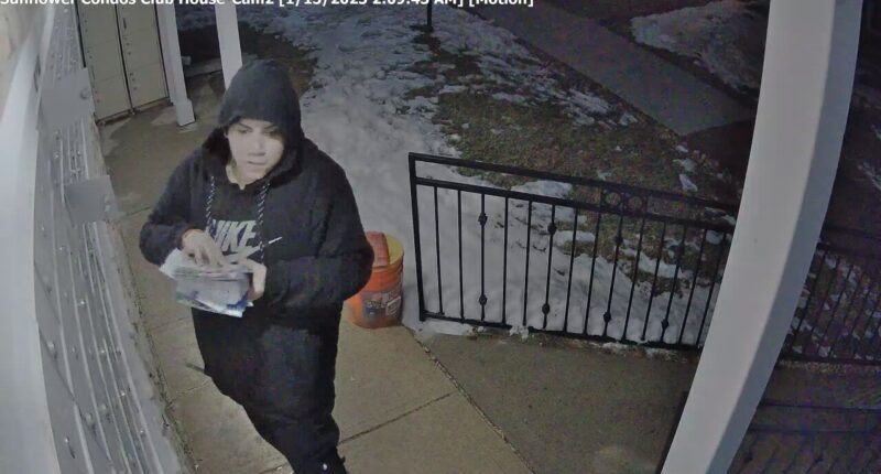 Security cameras caught this man on camera breaking into 19 mailboxes at the Sunflower Condominiums.