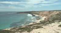 Australia shark attack: Missing surfer believed to be dead after incident at Granites Beach near Streaky Bay, authorities say