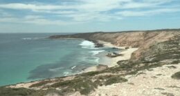 Australia shark attack: Missing surfer believed to be dead after incident at Granites Beach near Streaky Bay, authorities say