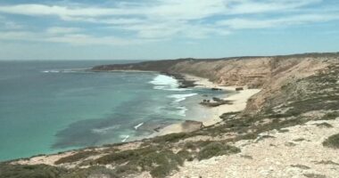 Australia shark attack: Missing surfer believed to be dead after incident at Granites Beach near Streaky Bay, authorities say