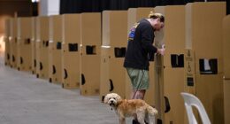 A man is seen casting his vote at an Australian Electoral Commission early voting centre in Melbourne on Monday, May 9, 2022, while his dog looks on