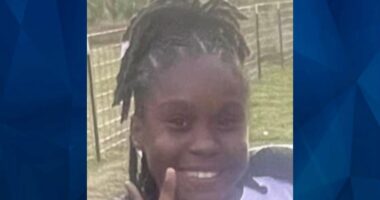 BOLO: Police Seek Tips on Missing 12-Year-Old Tennessee Girl