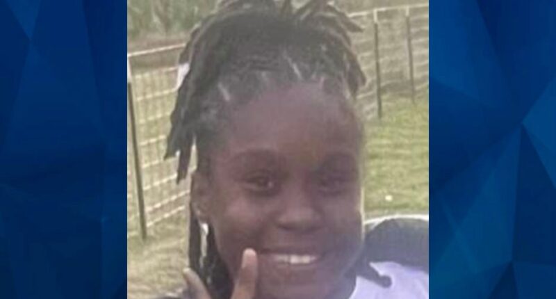 BOLO: Police Seek Tips on Missing 12-Year-Old Tennessee Girl