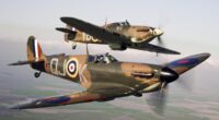 Battle Of Britain Memorial Flight 'may never fly again': Health and safety concerns could ground historic planes permanently after death of pilot, enthusiasts fear