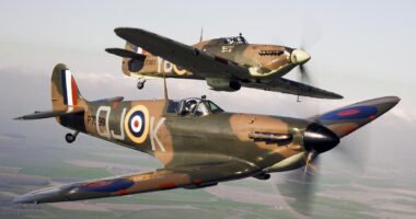 Battle Of Britain Memorial Flight 'may never fly again': Health and safety concerns could ground historic planes permanently after death of pilot, enthusiasts fear