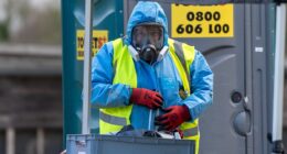 Bird flu strikes UK: First human case detected - amid growing concern the virus has mutated