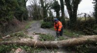 Britain to be battered by 75mph gales and heavy rain TODAY after 'weather bomb' Storm Eowyn wreaks havoc - as Met Office map shows three days of weather warnings and predicts up to four inches of snow