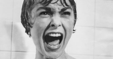 CRAIG BROWN's A-Z of TV thrillers (part two): What a surprise! There's a psycho in the shower