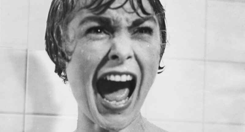 CRAIG BROWN's A-Z of TV thrillers (part two): What a surprise! There's a psycho in the shower