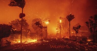 California Burning: What Will It Take to Change California Politics?