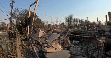 California fires LA: With their Los Angeles-area homes still smoldering, families return to search the ruins for memories