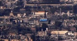 California wildfires: A retro blue Volkswagen bus miraculously survives deadly Los Angeles fire