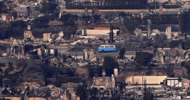 California wildfires: A retro blue Volkswagen bus miraculously survives deadly Los Angeles fire