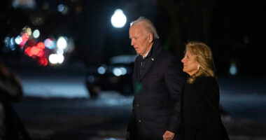 California wildfires: President Biden cancels trip to Italy, meant as final foreign visit of presidency