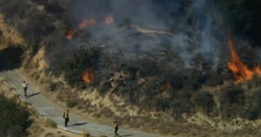 California wildfires: Suspect arrested in connection with brush fire quickly quashed by firefighters