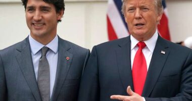 Canada's Trudeau urges US consumers to consider the harm of Trump's tariff threats