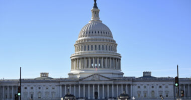 Capitol forced to up security as man with gun slips past cops with weapon in waistband and goes on full tour of Congress