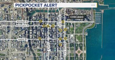 Chicago crime: Police warn about over a dozen pickpocket thefts in the Loop in December, January