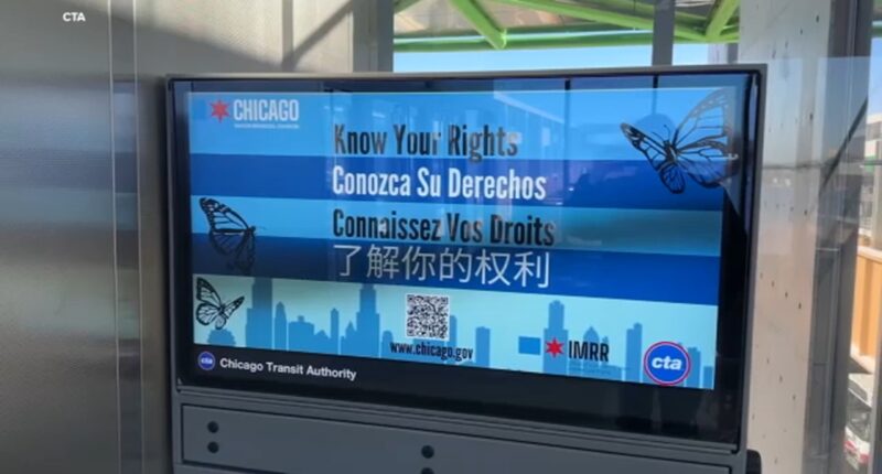 Chicago deportations: Mayor Brandon Johnson launches 'Know Your Rights' campaign with CTA amid fears of Trump immigration raids