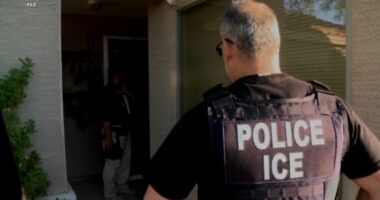 Chicago immigrant advocacy groups sue Trump administration, Immigration Customs and Enforcement over planned ICE deportation raids