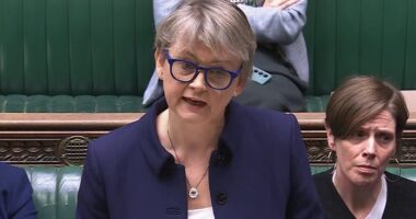 Child groomers to get tougher prison sentences in fresh crackdown over 'horrific crimes' - but Home Secretary Yvette Cooper pushes back at inquiry calls amid Elon Musk spat with Labour