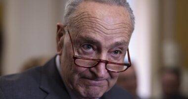 Chuck Schumer Goes on Self-Important, Lie-Filled Bender Over January 6