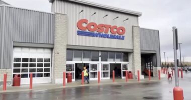 Costco defends its diversity policies as other US companies scale back on their DEI practices