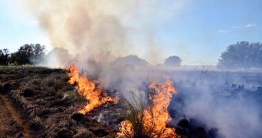 Crews battling brush fire near Lake, Orange County line