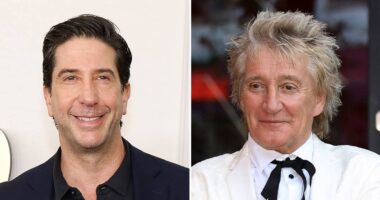 David Schwimmer Once Served Rod Stewart Divorce Papers