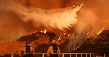 Death toll from California wildfires rises to 16: LA Medical Examiner