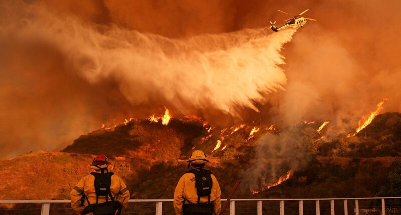 Death toll from California wildfires rises to 16: LA Medical Examiner